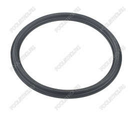 Уплотнительное кольцо Hayward муфты RS II (RSX750N)